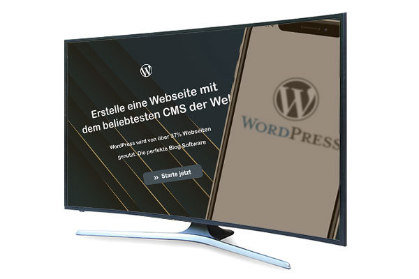 WordPress Homepage erstellen lassen